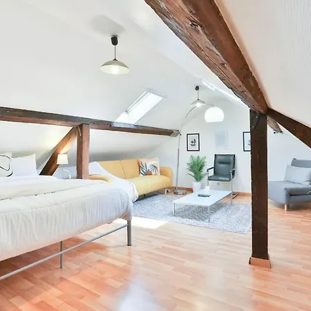 Le Clooney - En Duplex - Hyper Centre Apartamento Mulhouse