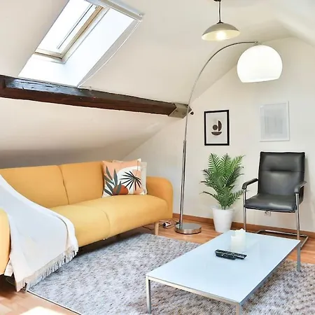 Le Clooney - En Duplex - Hyper Centre Apartamento Mulhouse