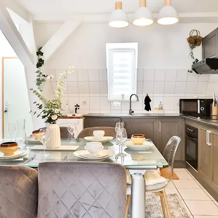 דירה Le Clooney - En Duplex - Hyper Centre מולהאוס