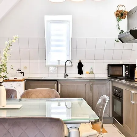 דירה Le Clooney - En Duplex - Hyper Centre מולהאוס